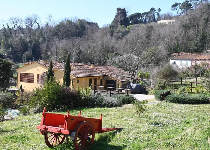 La Casa Gialla